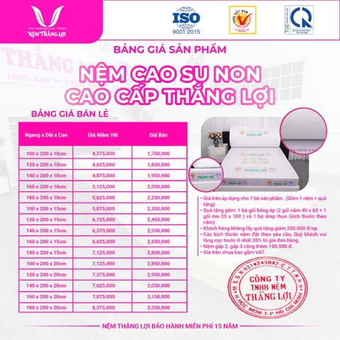 NỆM CAO SU NON CAO CẤP THẮNG LỢI