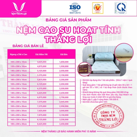 NỆM CAO SU HOẠT TÍNH THẮNG LỢI