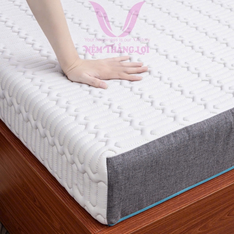 NỆM CAO SU ĐIỀU HOÀ VITAMIN COOL THẮNG LỢI