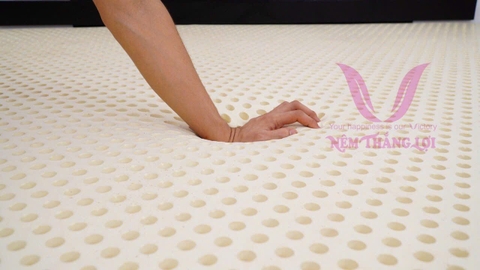 NỆM 100% CS THIÊN NHIÊN TITI DOUBLE FUNCTION