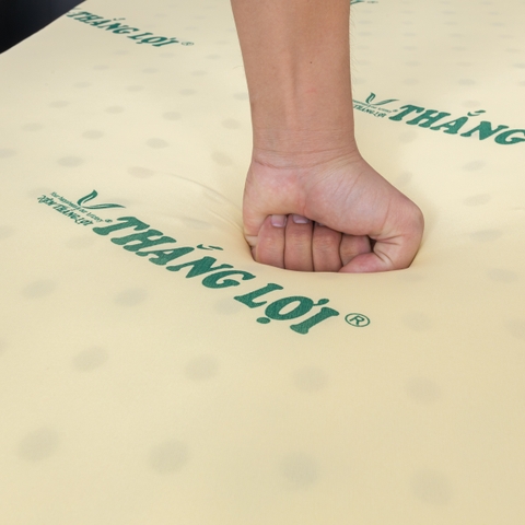 NỆM CAO SU NON THẮNG LỢI