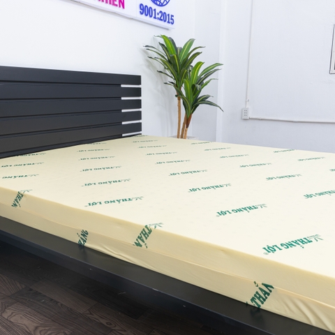 NỆM CAO SU NON THẮNG LỢI