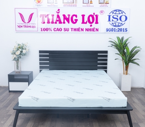 NỆM CAO SU HOẠT TÍNH THẮNG LỢI