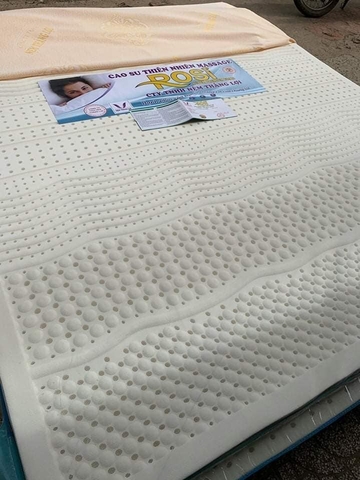 NỆM CS THIÊN NHIÊN ROSI MASSAGE THẮNG LỢI