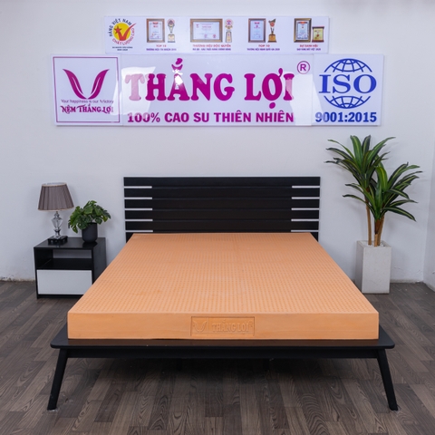 NỆM 100% CS THIÊN NHIÊN THẮNG LỢI SuSu - Original