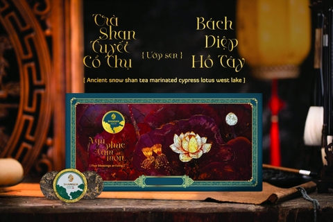 SHANSEN - NGŨ PHÚC LÂM MÔN