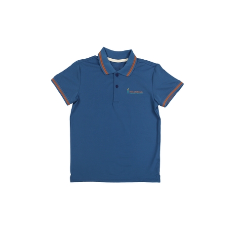 Áo polo xanh (Giá đã áp dụng ưu đãi 50%)