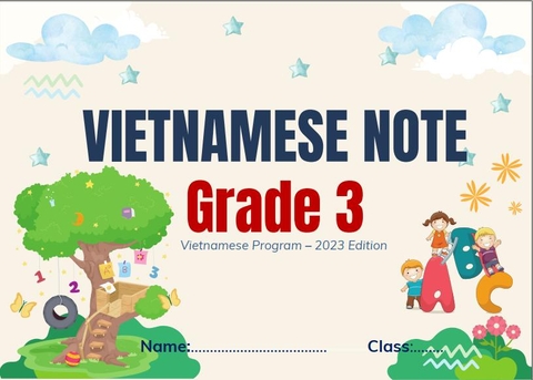 VietNamese Note 3