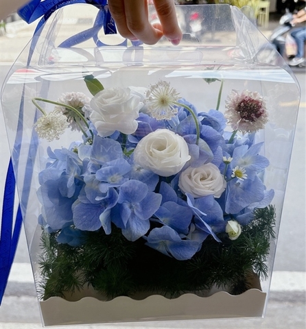 hộp hoa tú cầu