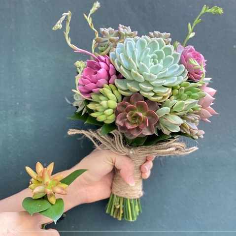 Hoa cưới sen đá SP000038