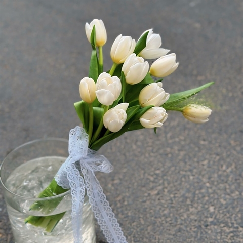 Hoa cưới tulip trắng SP000048