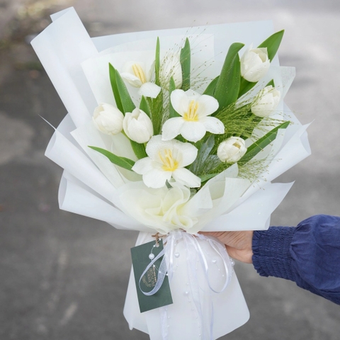 Bó Hoa Tulip Trắng – Thanh Khiết Tinh Khôi