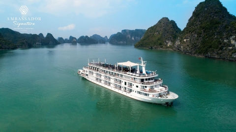 Combo 2 ngày 1 đêm: Khách sạn The Waston Premium Hạ Long + Tàu Ambassador Daily Cruise