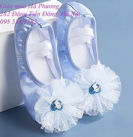 Giày múa Xanh Hoa