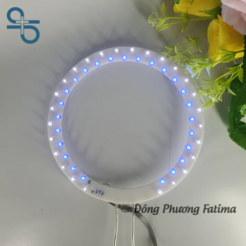 VÒNG LED ĐÔI 51B XANH TRẮNG 15CM