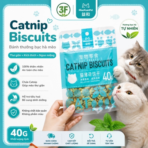 Bánh Cá cho mèo Biscuits Catnip |