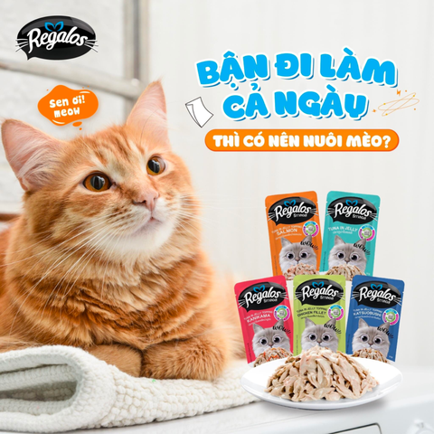 Pate Regalos Dành Cho Mèo Nhiều Vị Gói 70g