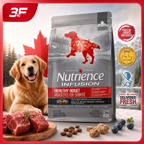 Hạt Nutrience Infusion Healthy Adult Vị Bò Đồng Cỏ Canada Cho Chó Trưởng Thành - Thịt Tươi, Probiotics &amp; Glucosamine