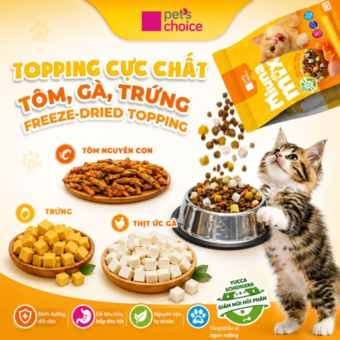 Thức ăn hạt cho mèo Miuna Mix - 1kg |
