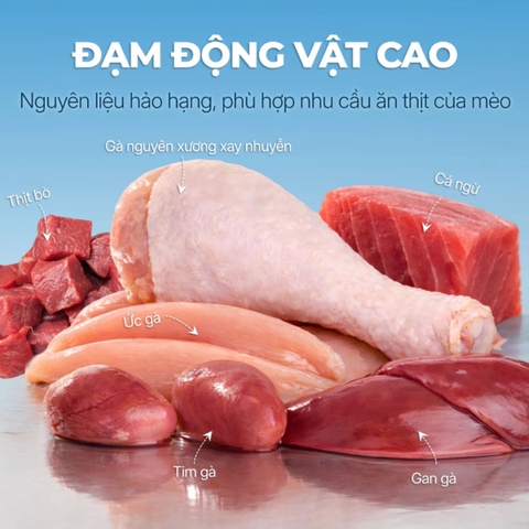 Pate Mousse Faenbei Cho Mèo 85g Cao Cấp - Thức Ăn Ướt Dễ Tiêu, Bổ Sung Taurine & Vitamin