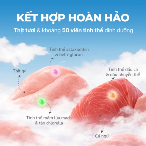 Pate Viên Tinh Thể Faenbei Cho Mèo 70g - Thức Ăn Ướt Chức Năng Hỗ Trợ Da Lông, Tiêu Hóa & Miễn Dịch