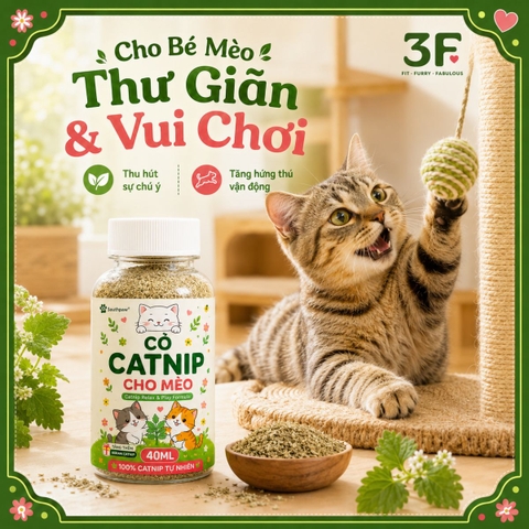 Cỏ Catnip Cho Mèo Southpaw 40ML - 100% Catnip Tự Nhiên, Hỗ Trợ Thư Giãn, Kích Thích Vui Chơi Cho Mèo