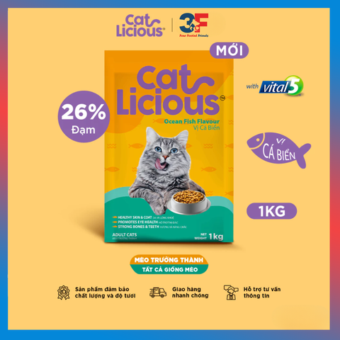 Thức ăn hạt cho mèo Catlicious - 1kg |