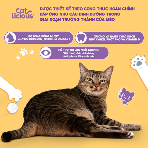 Thức ăn hạt cho mèo Catlicious - 1kg |