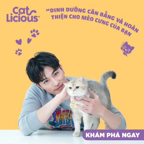 Thức ăn hạt cho mèo Catlicious - 1kg |