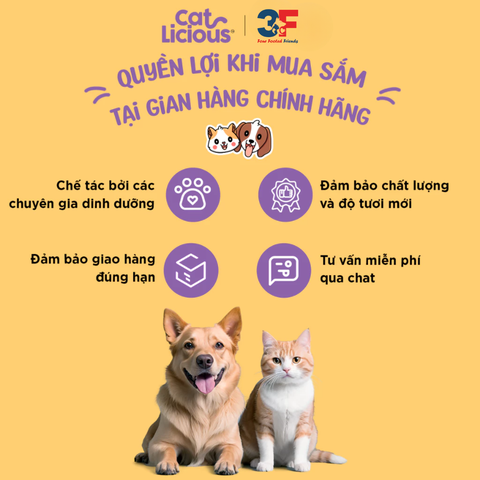 Thức ăn hạt cho mèo Catlicious - 1kg |