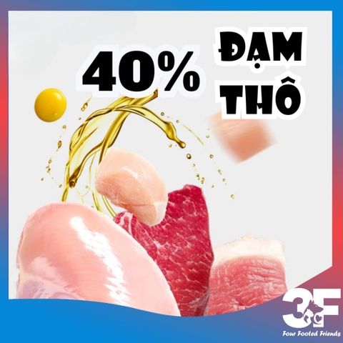 Hạt cho mèo LANGLIKE siêu topping, đạm 40%, không độn ngũ cốc, 20% topping