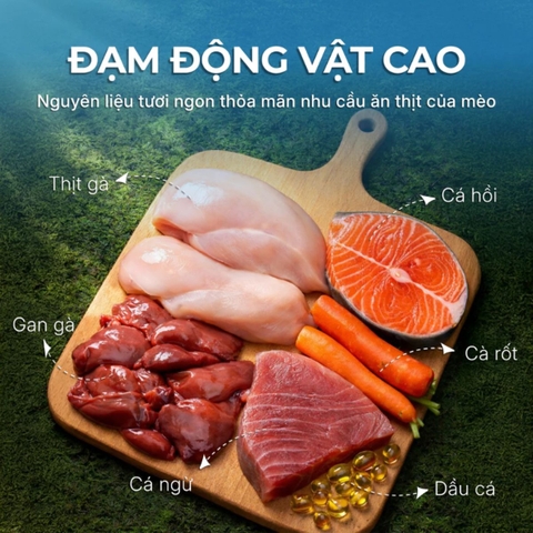 Pate Lon Faenbei Cho Mèo 375g Hàm Lượng Thịt Cao - Thức Ăn Ướt Mousse Giàu Đạm, Omega 3 & Taurine