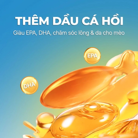 Pate Lon Faenbei Cho Mèo 375g Hàm Lượng Thịt Cao - Thức Ăn Ướt Mousse Giàu Đạm, Omega 3 & Taurine