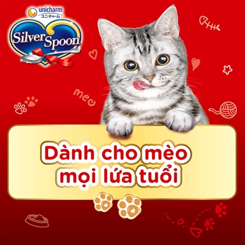 Thức ăn hạt cho mèo Silver Spoon