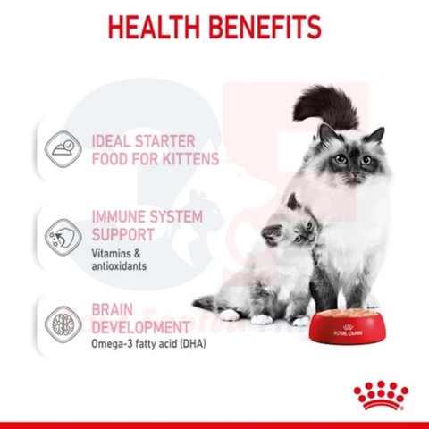 Pate Danh Cho Mèo Mẹ Và Mèo Con Royal Canin Mother & Babycat - 195Gr