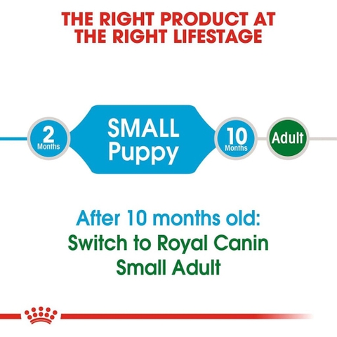 Hạt Cho Chó Nhỏ Từ 2-10 Tháng Tuổi: Royal Canin Mini Puppy