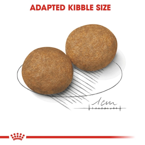 Hạt Cho Chó Từ 10 - 25Kg Royal Canin Medium Adult