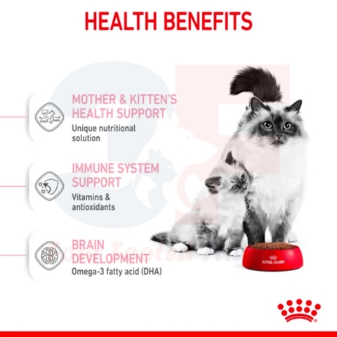 Thức Ăn Hạt Cho Mèo Đang Mang Thai Và Mèo Con Royal Canin Mother & Babycat