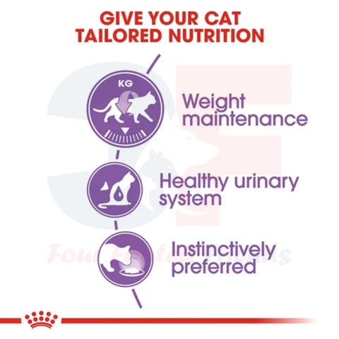 Pate Thức Ăn Ướt Dành Cho Mèo Triệt Sản Royal Canin Sterilized Gói 85g