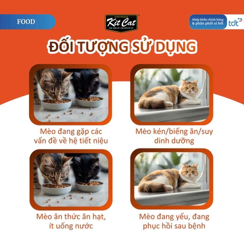 🔥 Súp Thưởng Cho Mèo Kit Cat Savoury Soup 50g Vị Cá Hồi – Bổ Sung Nước, Topping Cá Hồi Thật, Không Chất Bảo Quản
