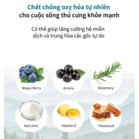 Thức ăn hạt cho chó (Adult) Dr.Healmedix - Bệnh tiểu đường