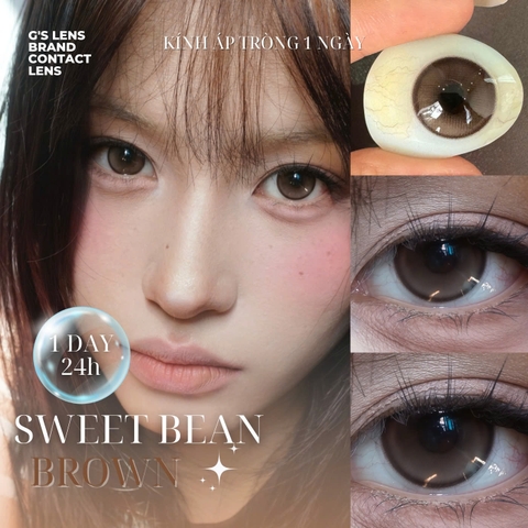 Kính áp tròng 1 ngày SWEET BREAN BROWN màu nâu tự nhiên giãn tròng nhỏ GTRENDY