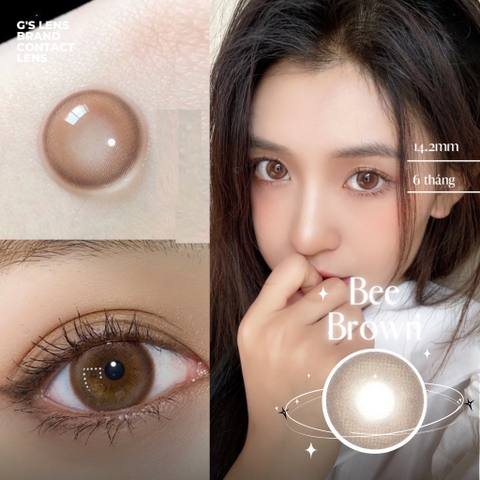 Kính áp tròng 6 tháng BEE BROWN màu nâu tự nhiên giãn tròng nhỏ GTRENDY - AL Color 38