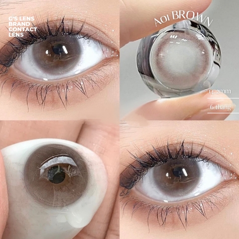 Kính áp tròng 6 tháng A01 BROWN màu nâu tự nhiên giãn tròng nhỏ GTRENDY - lens trung