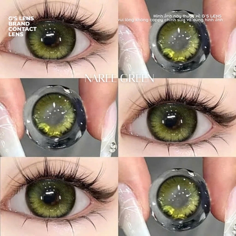 Kính áp tròng 6 tháng NAREE GREEN màu xanh lá sáng tây giãn tròng vừa GTRENDY - Realcon Color 38