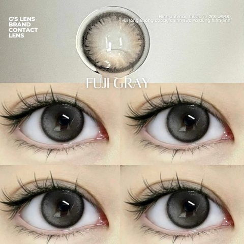Kính áp tròng 6 tháng FUJI GRAY màu xám tự nhiên giãn tròng nhỏ GTRENDY