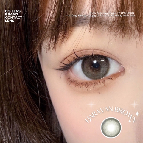 Kính áp tròng 6 tháng HARAVAN BROWN màu nâu rêu tự nhiên giãn tròng nhỏ GTRENDY - MC38