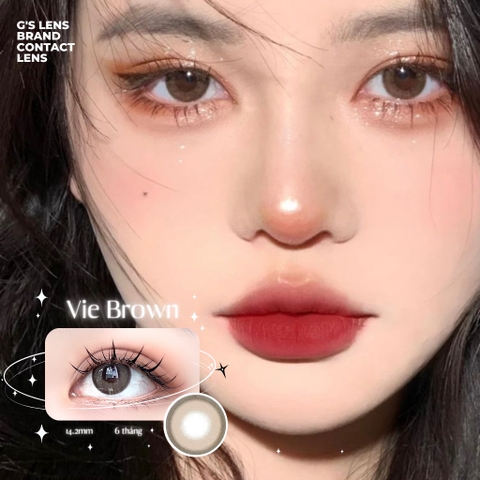 Kính áp tròng 6 tháng VIE BROWN màu nâu tự nhiên giãn tròng nhỏ GTRENDY - AL Color 38