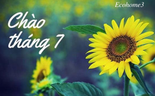 Bản tin Ecohome 3 Thủ Đô - Tháng 7