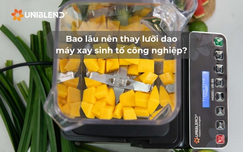 Bao lâu nên thay lưỡi dao máy xay sinh tố công nghiệp?